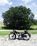 M100